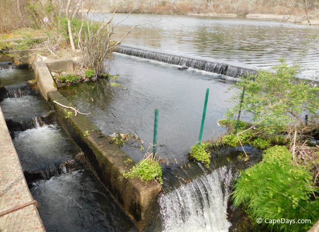 View of the herring run structure, pond and spillway in Marstons Mills, with water pouring over the spillway View of the herring run structure, pond and spillway in Marstons Mills, with water pouring over the spillway
