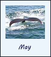 Click to see the May events calendar.