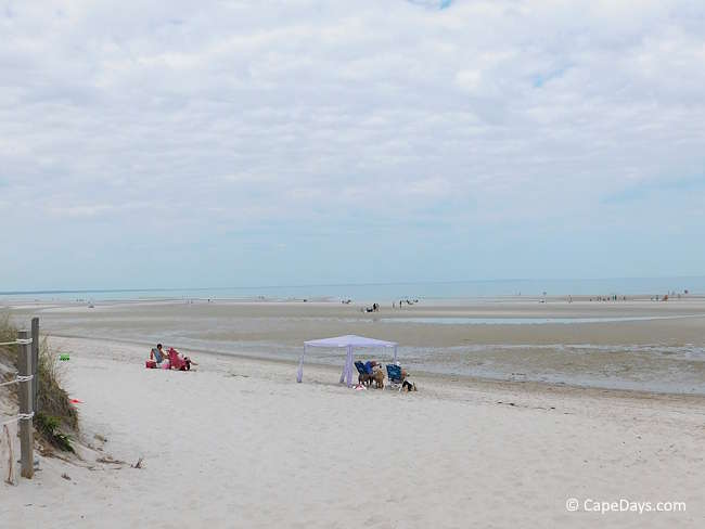 Mayflower Beach on Cape Cod Bay with sand flats and tidal pools at low tide