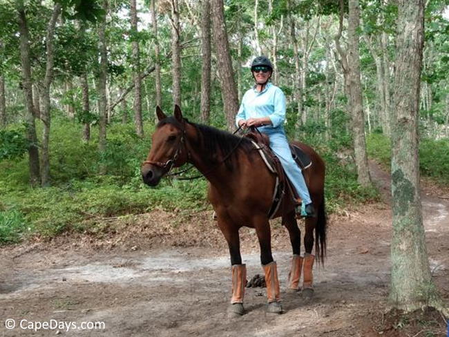 Rider on a dark brown horse with black mane and tail; tall trees and summer foliage in the background