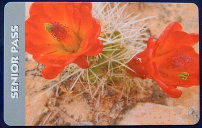 US National Parks Senior Pass