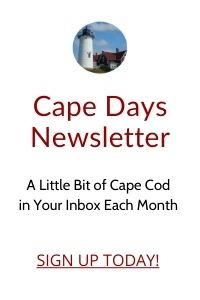cape cod lighthouse tour