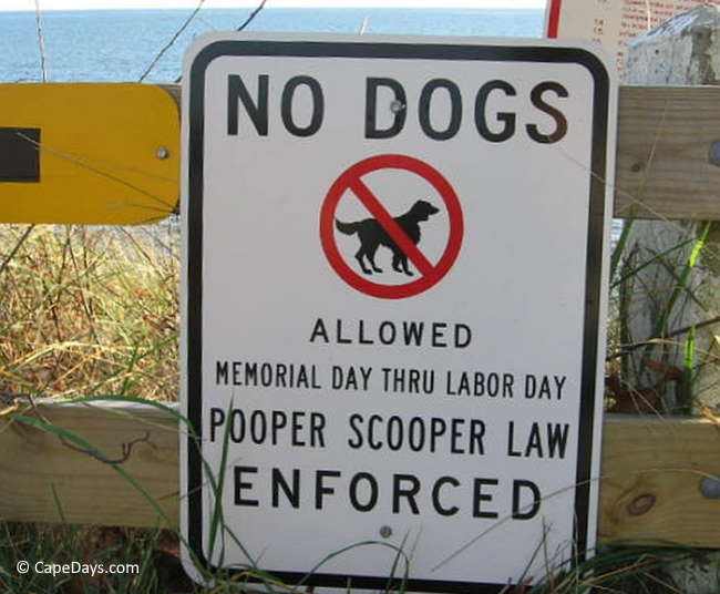 Sign indicating no dogs allowed on the beach from Memorial Day to Labor Day, and pooper scooper laws enforced Sign indicating no dogs allowed on the beach from Memorial Day to Labor Day, and pooper scooper laws enforced