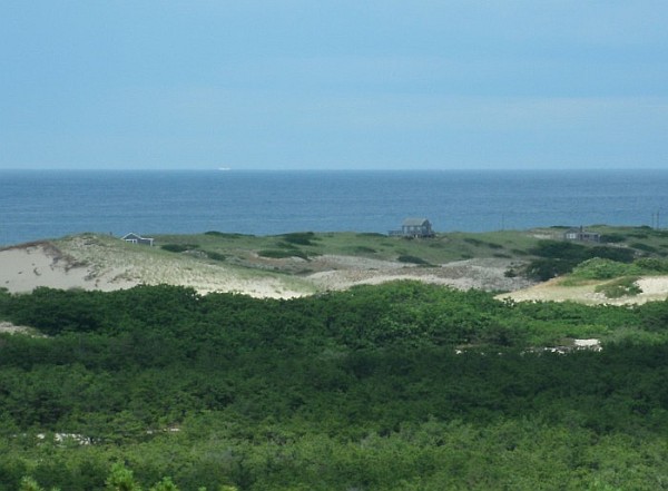 View from the observation deck at Provincelands Info Center