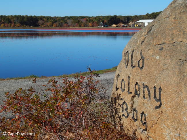 Large boulder with the words "Old Colony Bog", cranberries on the water in the distance