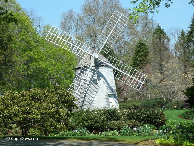 Old East Windmill tucked into the trees and gardens, spring flowers in bloom