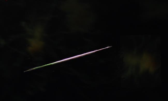 Meteor with a long blue, pink and white tail, shooting across the night sky
