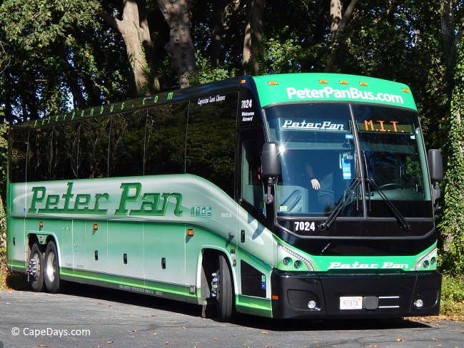 Green and white passenger bus with white lettering: "Peter Pan"