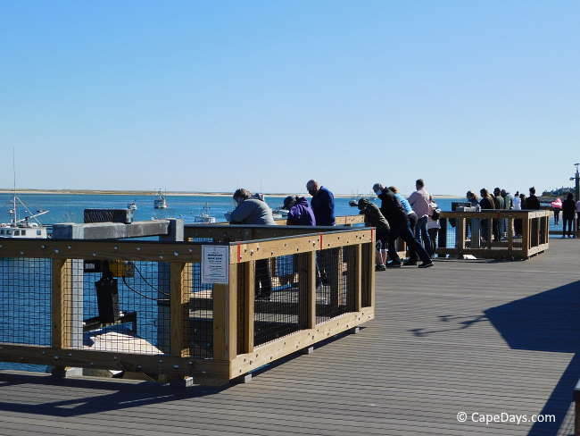 Spectators on a long wide, viewing platform looking down at the water