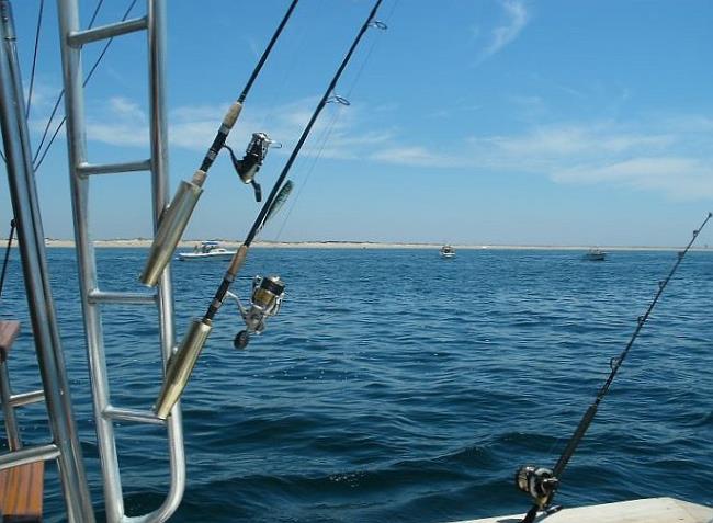 View of Provincetown shoreline from deck of a private charter boat