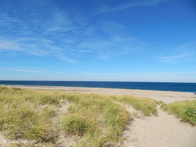 Beach path through the see grasses leading to the ocean