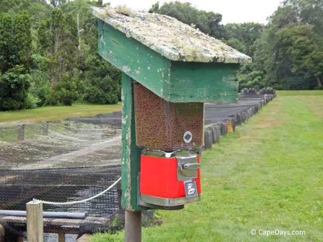 Close-up of the fish food dispenser at the Sandwich MA Hatchery, where visitors can buy pellets to feed the trout