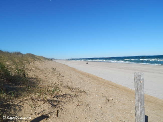 Beach In Sandwich Ma