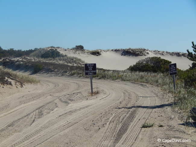 sandy-neck-access-trail.jpg