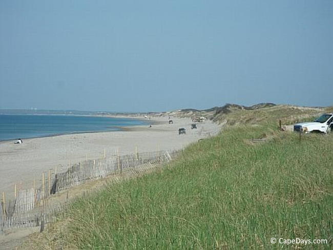 Long expanse of beach with dunes and dune grasses Long expanse of beach with dunes and dune grasses