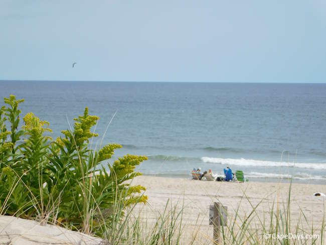Cape Cod beach in September with goldenrod blooming beside the beach access path and a few people sitting near the water.