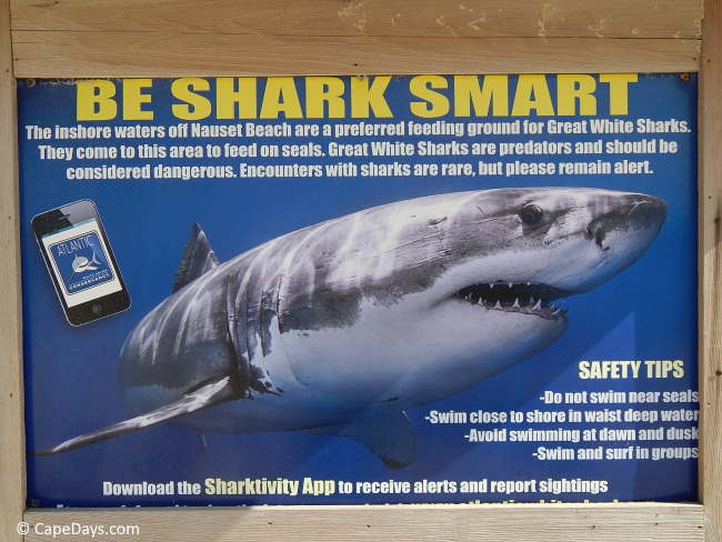 shark-safety-sign-nauset-beach.jpg