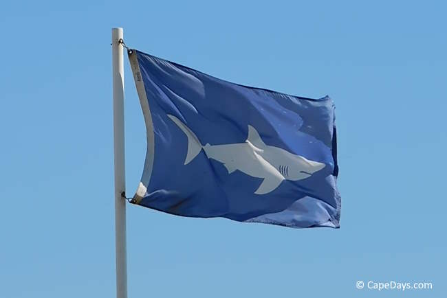 shark-warning-flag.jpg