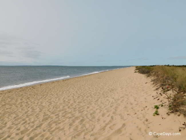 Long, wide beach backed by sea grasses, blue skies with puffy clouds