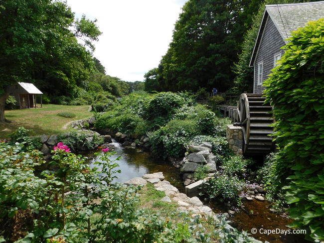 Stream running alongside grist mill building, water wheel on the side of mill, and lush foliage with red beach roses in foreground Stream running alongside grist mill building, water wheel on the side of mill, and lush foliage with red beach roses in foreground