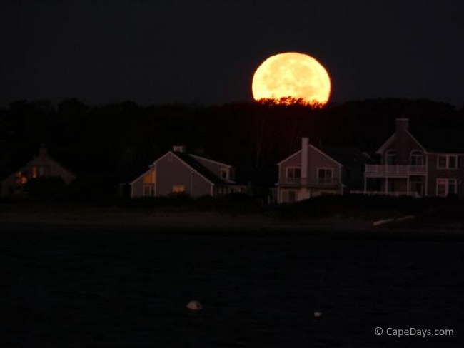 Gigantic, yellow moon setting behind oceanfront homes