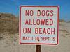 No Dogs on the Beach