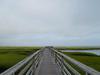 View from Bass Hole (Gray's Beach) Boardwalk