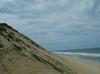 Cape Cod Dunes
