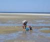 Tide Pooling at Mayflower Beach