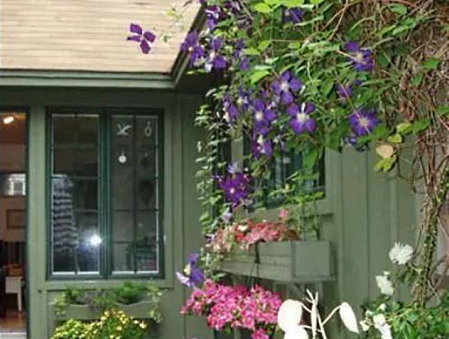 Flower laden entrance to cottage