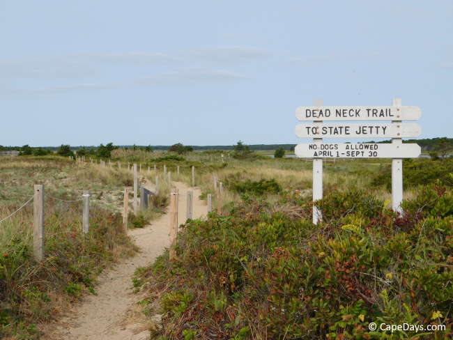 Sandy footpath through a wildlife reserve, white wooden sign for "Dead Neck Trail".