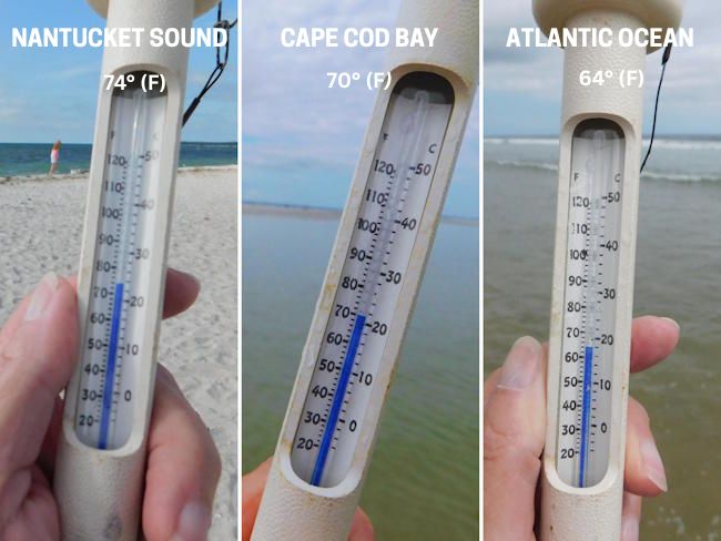 Thermometers showing Nantucket Sound, Cape Cod Bay and Atlantic Ocean water temperature readings