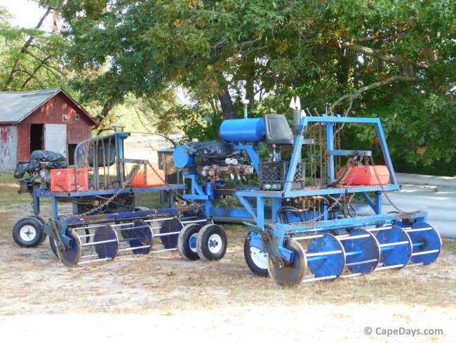Large, blue, harvesting machines
