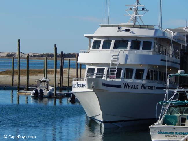 Whale watch boat at the pier in Barnstable Harbor Whale watch boat at the pier in Barnstable Harbor