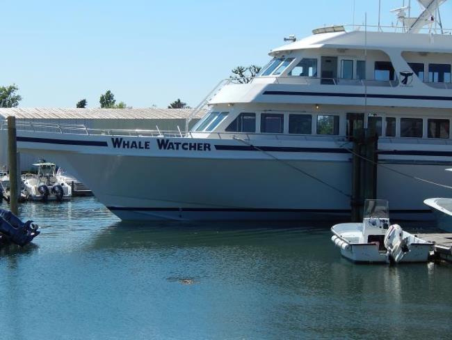 WhaleWatcher boat at the pier