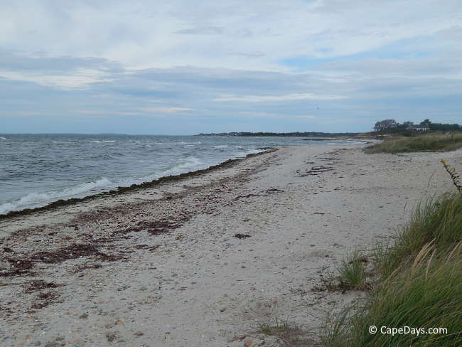 wood-neck-beach-falmouth-ma.jpg