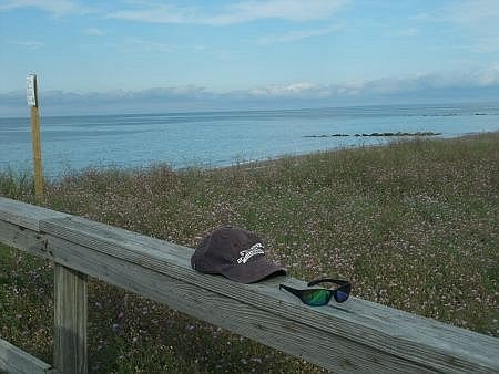 view from the boardwalk in sandwich ma